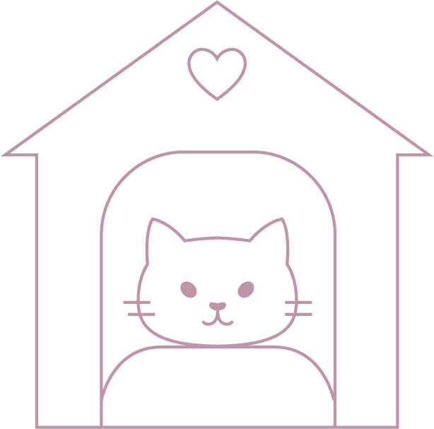 illustration chat tarifs